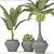 Tropical Bliss Coconut Palm Set 3D model small image 3