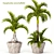 Exotic Palm Tree Trio Set 3D model small image 1