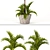 Exotic Palm Tree Trio Set 3D model small image 2