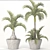 Exotic Palm Tree Trio Set 3D model small image 3