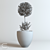 Stylish Indoor Plant CEDE 3D model small image 2