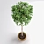 3D Max Plant Creation Kit 3D model small image 2