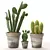 Realistic Cactus Set 3D model small image 1