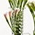 Elegant Calla Lily Fish Aquarium 3D model small image 2