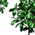 Lush Ficus Leafy Plant 3D model small image 2