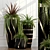 15 Indoor Plants - Green up Your Space! 3D model small image 1