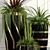 15 Indoor Plants - Green up Your Space! 3D model small image 2