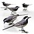 Elegant Urban Forager: White Wagtail 3D model small image 1