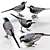 Elegant Urban Forager: White Wagtail 3D model small image 2