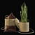 Versatile Decor Set: Basket, Vase, Stand, Rope, Cushions 3D model small image 3