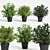 Vibrant Plant Collection 3D model small image 1