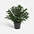 Vibrant Plant Collection 3D model small image 2