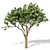 Elegant Magnolia Tree Model 3D model small image 1