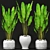 Tropical Bliss: Set of Banana Trees 3D model small image 1