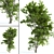 Blooming Beauty: High Poly Spring Tree 3D model small image 3