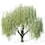 Elegant Willow Tree Sculpture 3D model small image 1