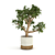 Lucky Money Tree: Bring Prosperity and Good Fortune 3D model small image 1