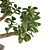 Lucky Money Tree: Bring Prosperity and Good Fortune 3D model small image 2