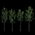 Tall Tree Models: 3m Height 3D model small image 1