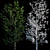 Tall Tree Models: 3m Height 3D model small image 3