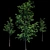 Growing Green: 2m Tall Tree Models 3D model small image 1