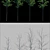 Growing Green: 2m Tall Tree Models 3D model small image 2