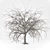 Winter Scene Essential: Bare Tree 3D model small image 1