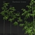 Bamboo Scatters: Natural Elegance for Your Space 3D model small image 1