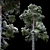 Snowy Pine Tree: Detailed, High-Poly 3D model small image 2