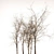 Wooden Seasonal Trees 3D model small image 2