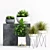 Botanical Beauties: Vibrant Plants & Stylish Planters 3D model small image 1