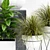 Botanical Beauties: Vibrant Plants & Stylish Planters 3D model small image 2