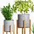 Wooden Leg Planters Set 3D model small image 3