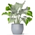 Greenery Delight: Potted Plant 3D model small image 3