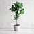 Lush Ficus Lyrata: Lifelike 3D Interior Plant 3D model small image 1