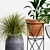 Modern Planters & Lush Greenery 3D model small image 3