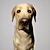 Adorable Labrador Dog Sculpture 3D model small image 2