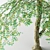 Lush Tall Tree: Stunning 3D Model 3D model small image 2