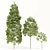 Populus Crowns: 3D Tree Models 3D model small image 1
