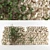 Ivy-Adorned Sandstone Wall 3D model small image 1
