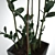 Zamioculcas Home: Ideal Greenery for Your Windowsill! 3D model small image 2