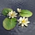 Water Lily Sculpture- Handmade for Fisherman's Hut Scene 3D model small image 1