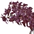 Exquisite Orchidaceae Home Décor 3D model small image 2