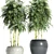 Natural Bamboo Plants: Breath of Fresh Air 3D model small image 2