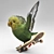 Geometric Skateboarding Parrot 3D model small image 2