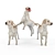 Labrador Shelby: 3D Max Delight! 3D model small image 1