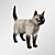 Siamese Cat Model with Hair and Textures 3D model small image 1
