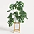 Exquisite Monstera Plant: 2013 Version 3D model small image 1