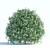 Flowering Spiraea Shrub - 1.2m 3D model small image 1