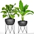 Potted Plant Collection - 25 Varieties 3D model small image 1
